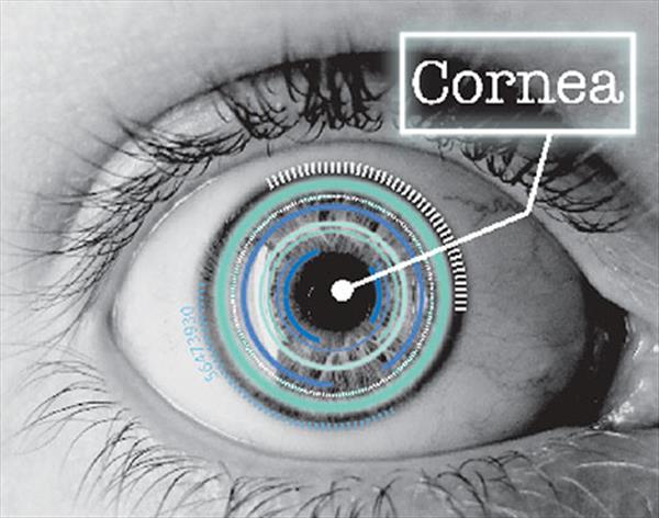 Precise Bio推出眼科业务部门，开发3D打印眼角膜